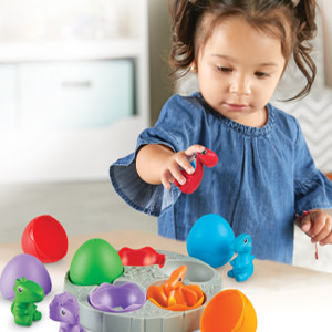 色・形・数の概念