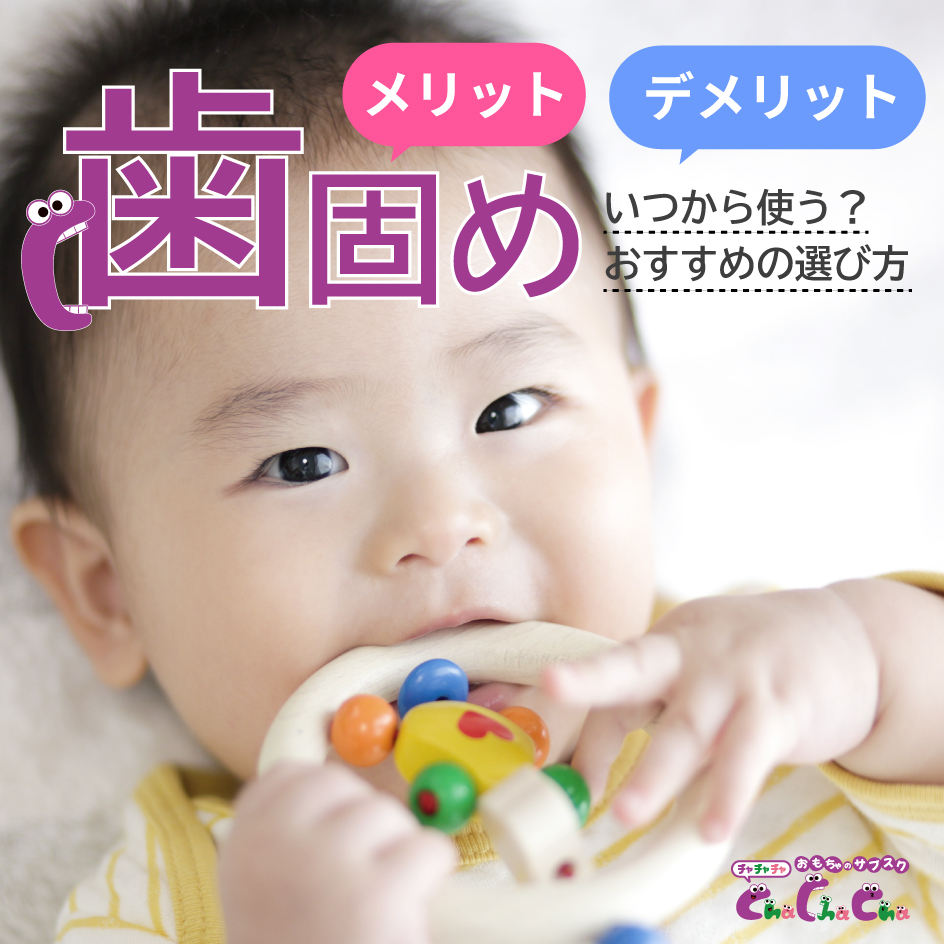 歯固めのメリット・デメリット｜いつから使う？対策方法とおすすめの選び方も解説
